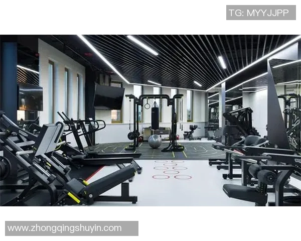 探索上海健身器材加盟的商机与发展潜力助您轻松创业致富