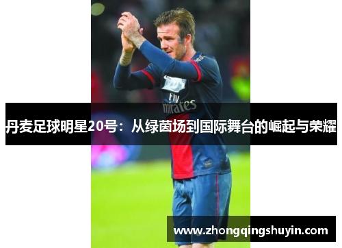 丹麦足球明星20号：从绿茵场到国际舞台的崛起与荣耀