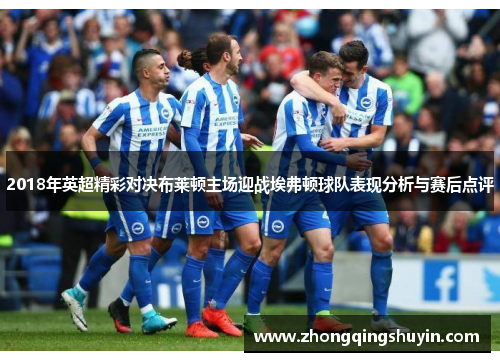 2018年英超精彩对决布莱顿主场迎战埃弗顿球队表现分析与赛后点评